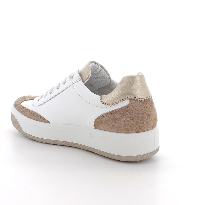 1144600 IGI&CO SHOES 26
