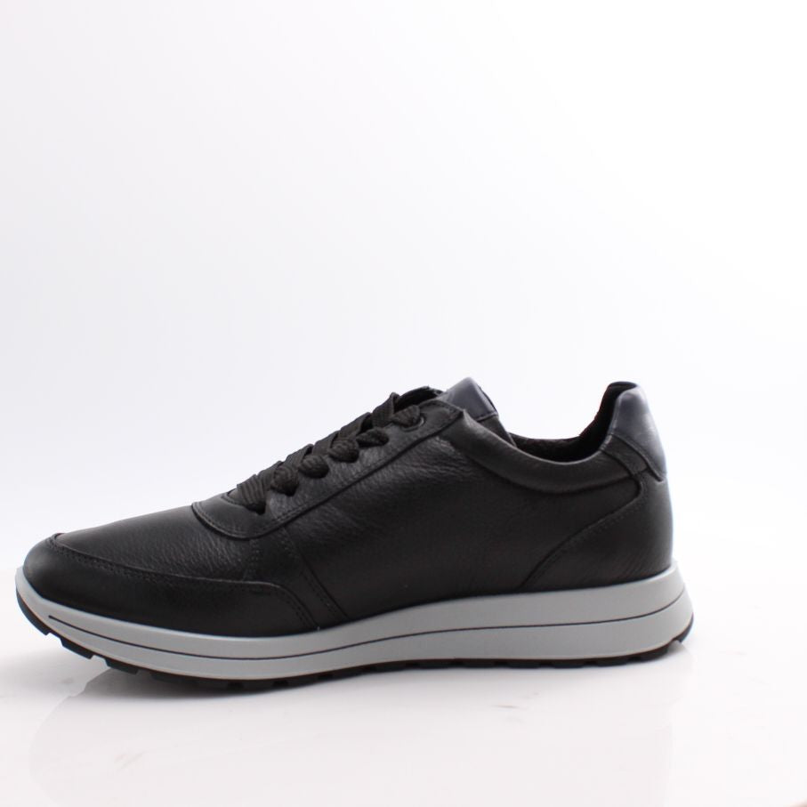 24501 ARA 25 MATTEO H FITTING