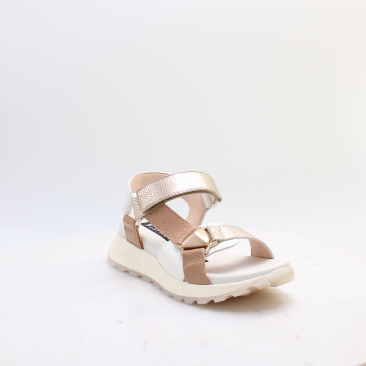 CHV264807 AMBAR HISPANITAS