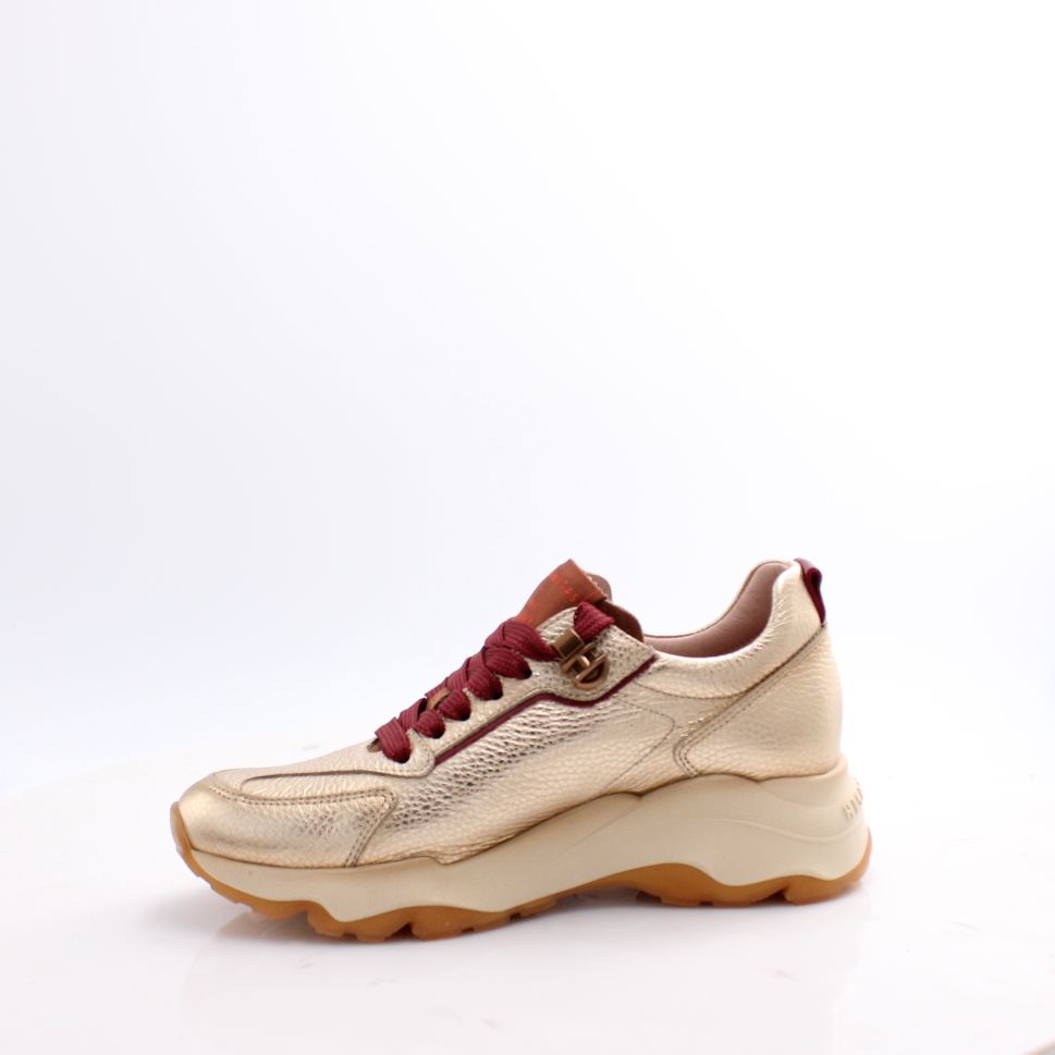 HI254375 NEPAL HISPANITAS