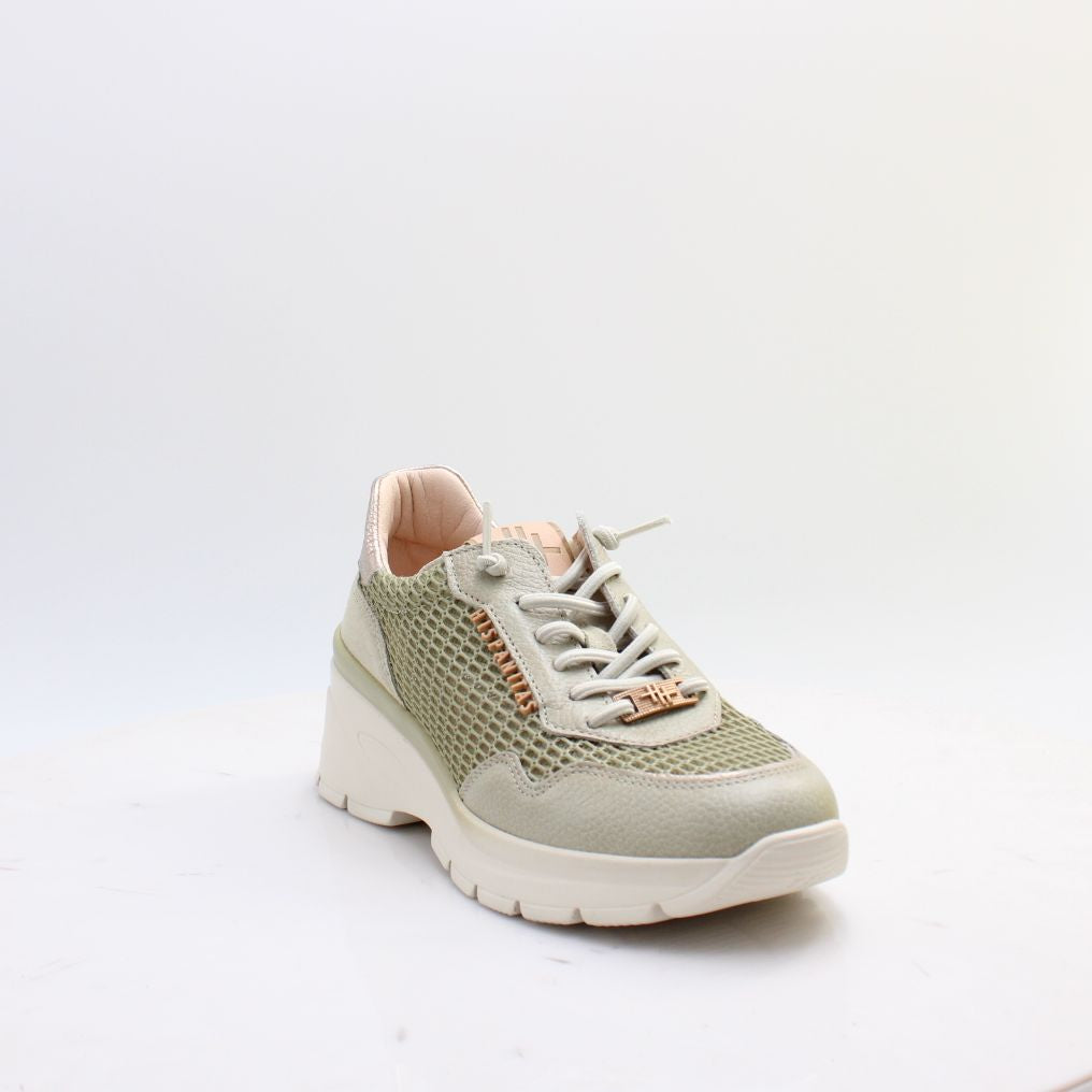 HV264712 JADE HISPANITAS