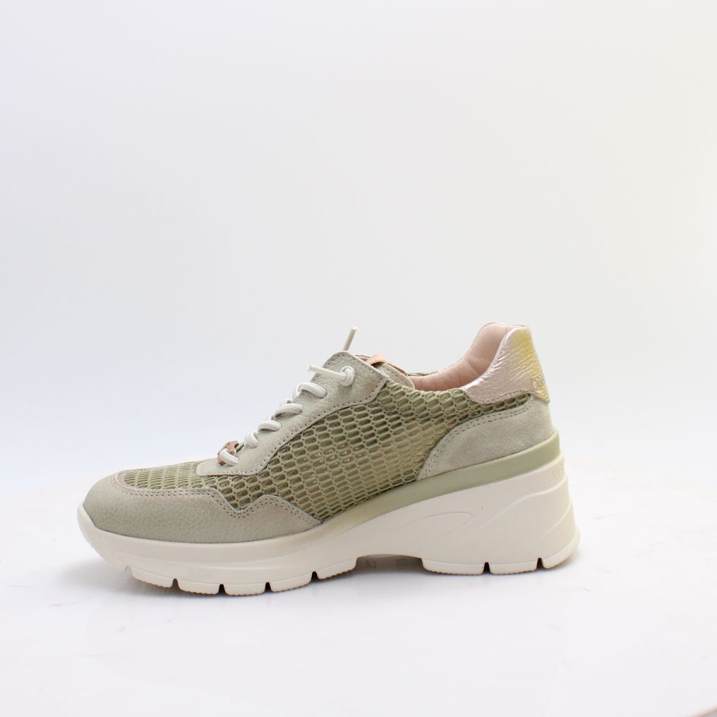 HV264712 JADE HISPANITAS