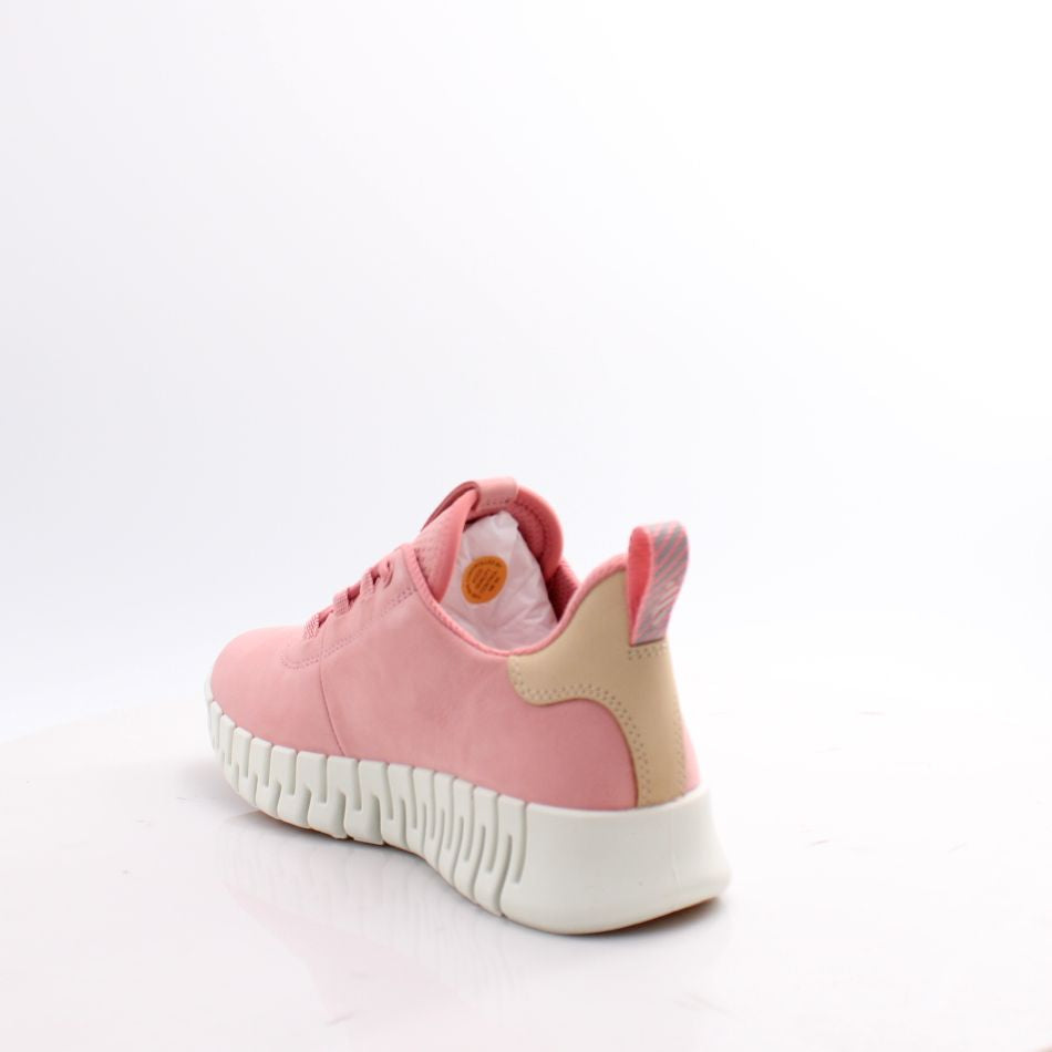 218203 GRUUV ECCO 25