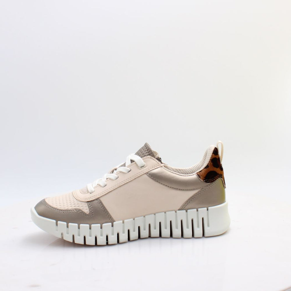 218353 GRUUV ECCO 26