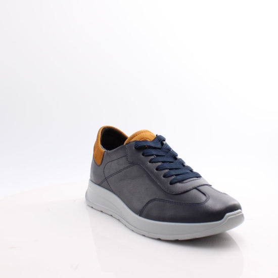 28605 ARA 25 MATTEO H FITTING