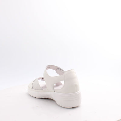 5262 G COMFORT 25