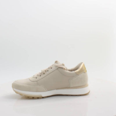 5310 PAUL GREEN 26