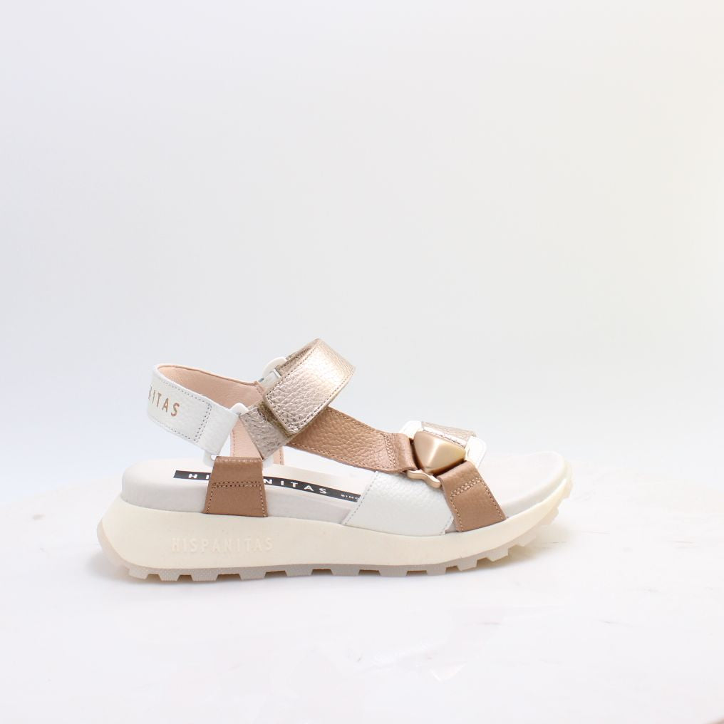 CHV264807 AMBAR HISPANITAS