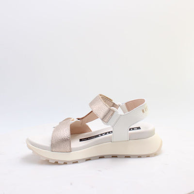 CHV264807 AMBAR HISPANITAS