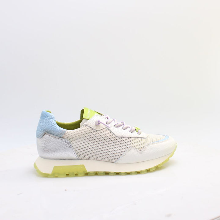 CHV264825 OREGON HISPANITAS