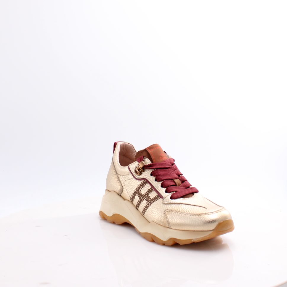 HI254375 NEPAL HISPANITAS