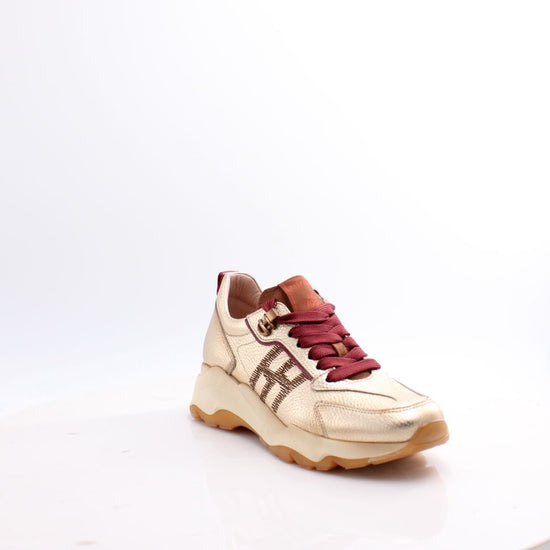 HI254375 NEPAL HISPANITAS