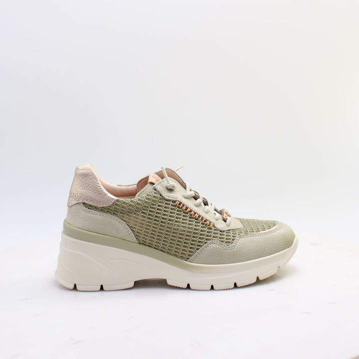 HV264712 JADE HISPANITAS