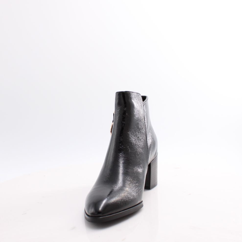 TAYLOR-01 REGARDE LE CIEL