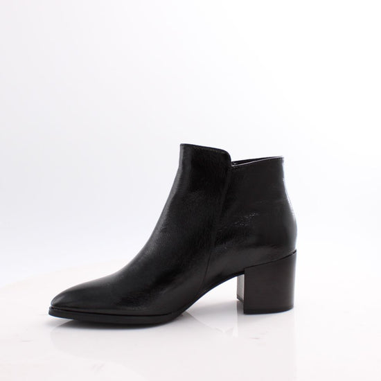 TAYLOR-01 REGARDE LE CIEL